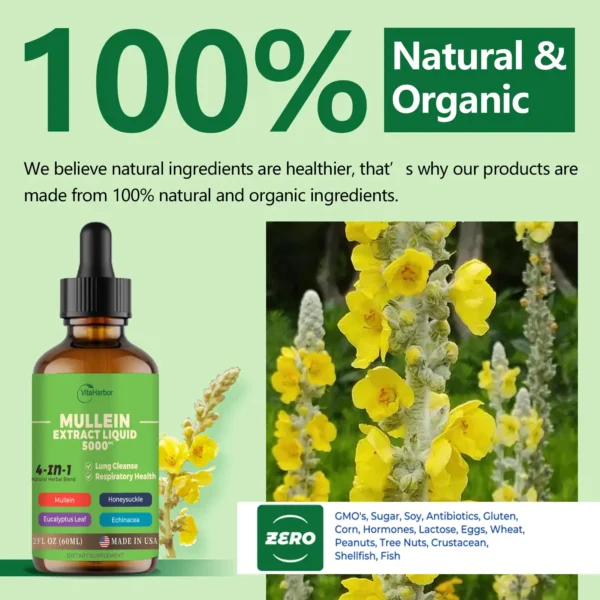 4-in-1 Mullein Drops for Lungs, Organic Mullein Leaf & Honeysuckle & Eucalyptus Leaf & Echinacea Extracts, for Lung Cleanse, Immune & Respiratory Support, Sugar-Free | Non-GMO | Vegan, 2 Fl oz - Image 6