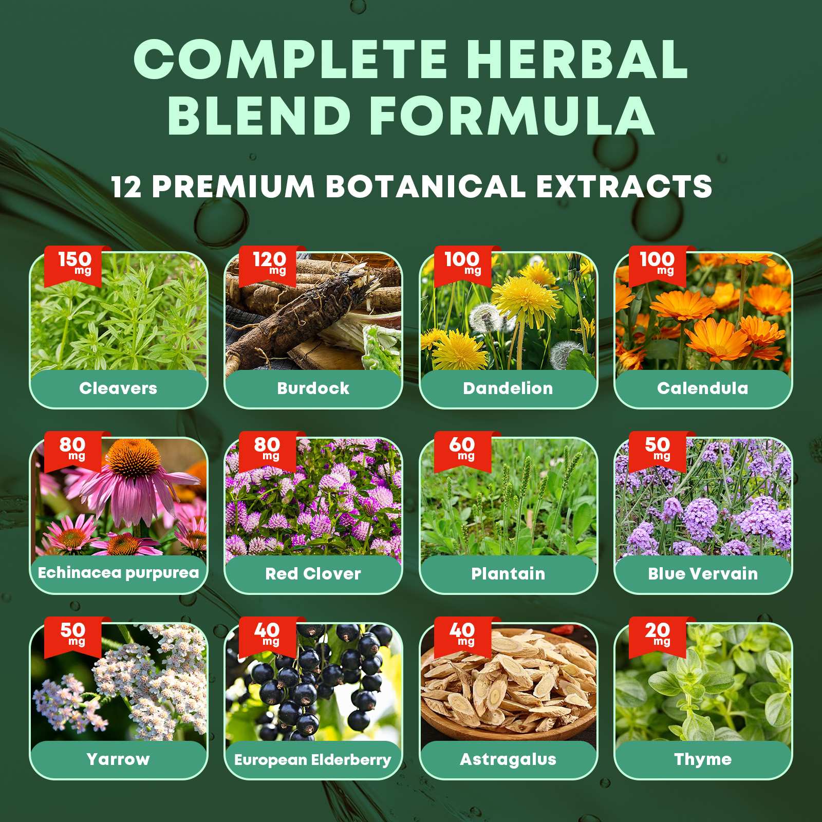 Lymphatic Drainage Supplements, 12-in-1 Lymphatic Drainage Drops with Echinacea, Burdock, Dandelion, Cleavers, Elderberry, Calendula & More for Lymphatic Support & Immune Support, 2 FL OZ - Image 2